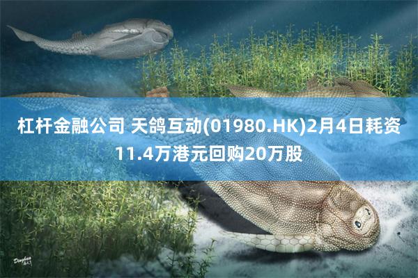 杠杆金融公司 天鸽互动(01980.HK)2月4日耗资11.4万港元回购20万股
