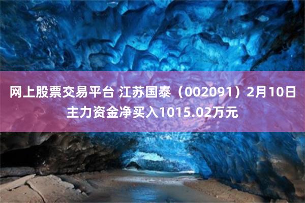 网上股票交易平台 江苏国泰（002091）2月10日主力资金净买入1015.02万元
