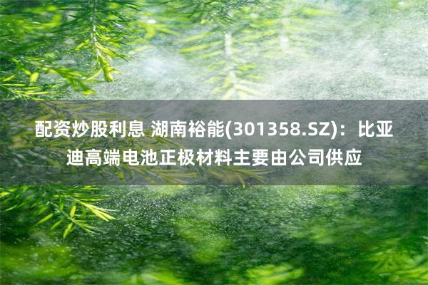 配资炒股利息 湖南裕能(301358.SZ)：比亚迪高端电池正极材料主要由公司供应