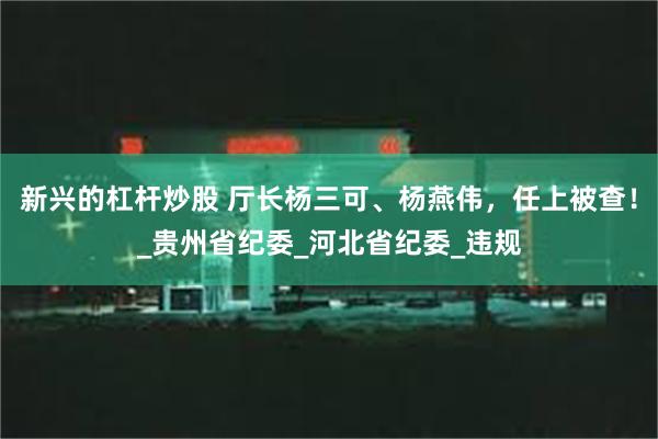 新兴的杠杆炒股 厅长杨三可、杨燕伟，任上被查！_贵州省纪委_河北省纪委_违规