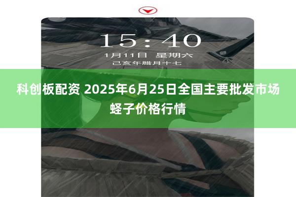 科创板配资 2025年6月25日全国主要批发市场蛏子价格行情