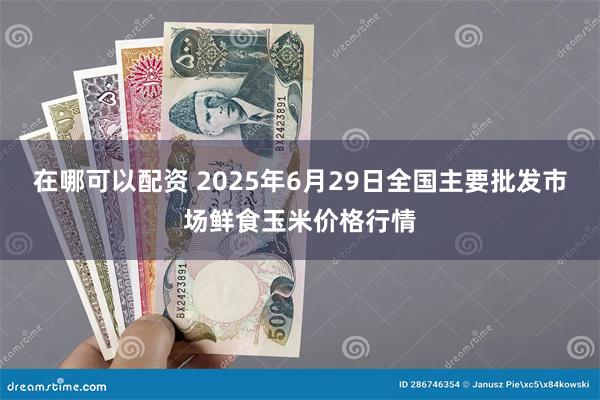在哪可以配资 2025年6月29日全国主要批发市场鲜食玉米价格行情