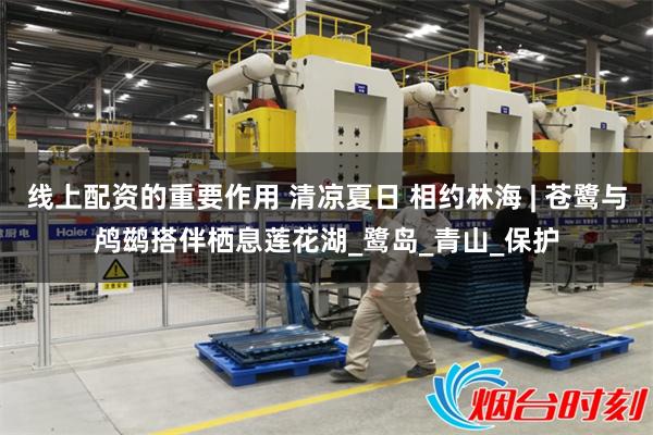 线上配资的重要作用 清凉夏日 相约林海 | 苍鹭与鸬鹚搭伴栖息莲花湖_鹭岛_青山_保护