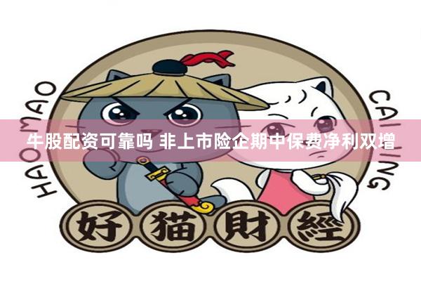 牛股配资可靠吗 非上市险企期中保费净利双增