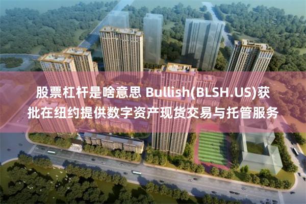 股票杠杆是啥意思 Bullish(BLSH.US)获批在纽约提供数字资产现货交易与托管服务