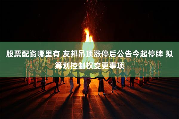 股票配资哪里有 友邦吊顶涨停后公告今起停牌 拟筹划控制权变更事项