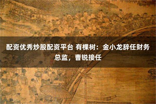 配资优秀炒股配资平台 有棵树：金小龙辞任财务总监，曹锐接任